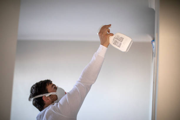 Best Emergency Mold Removal  in Santa Rita Ranch, TX