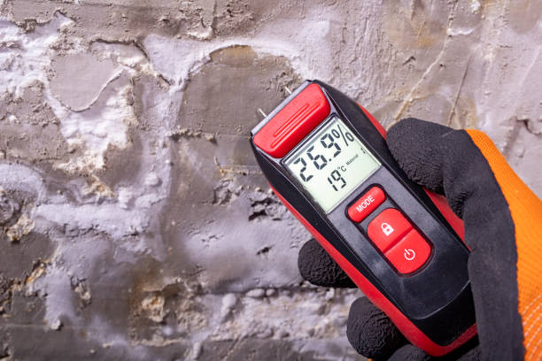 Best Certified Mold Removal  in Santa Rita Ranch, TX